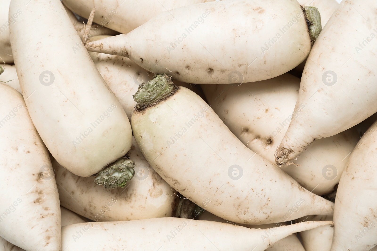 Photo of Pile of white turnips as background, top view