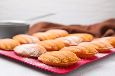 Photo of Delicious madeleine cookies in baking mold on white table, closeup