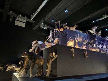 Leiden, Netherlands - November 19, 2022: Museum exhibition with different stuffed animals. Environmental education