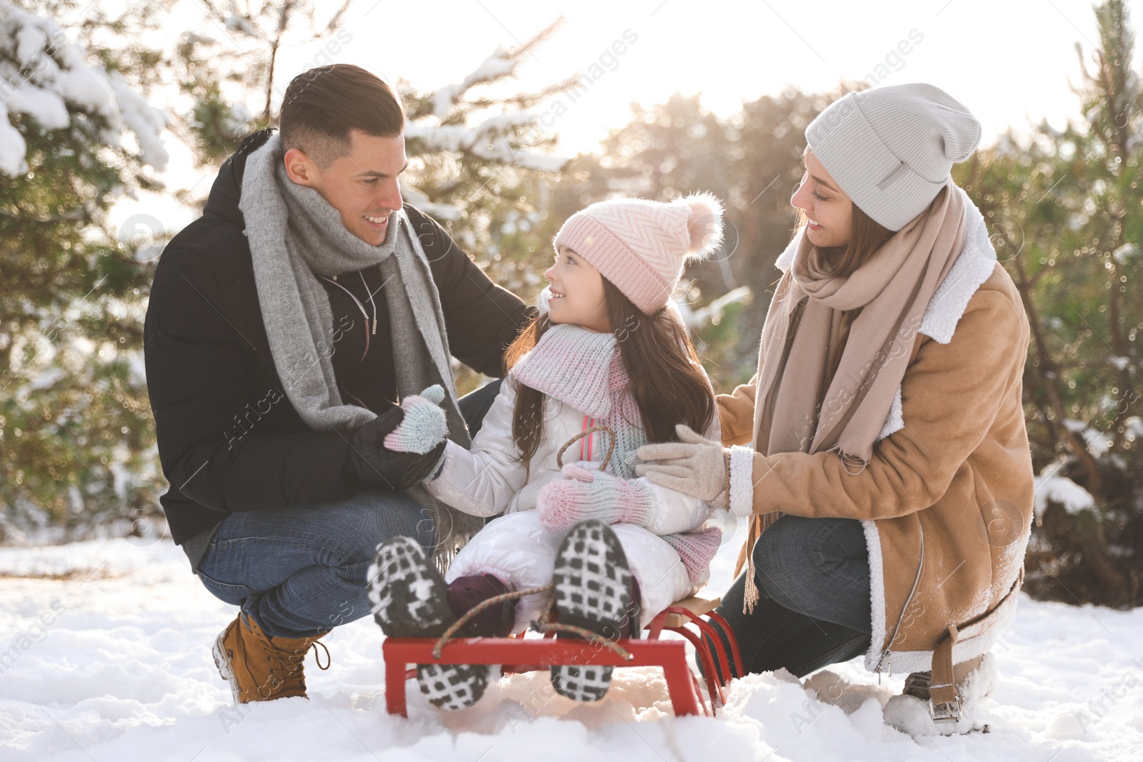 Photo of Happy family with sledge outdoors on winter day. Christmas vacation