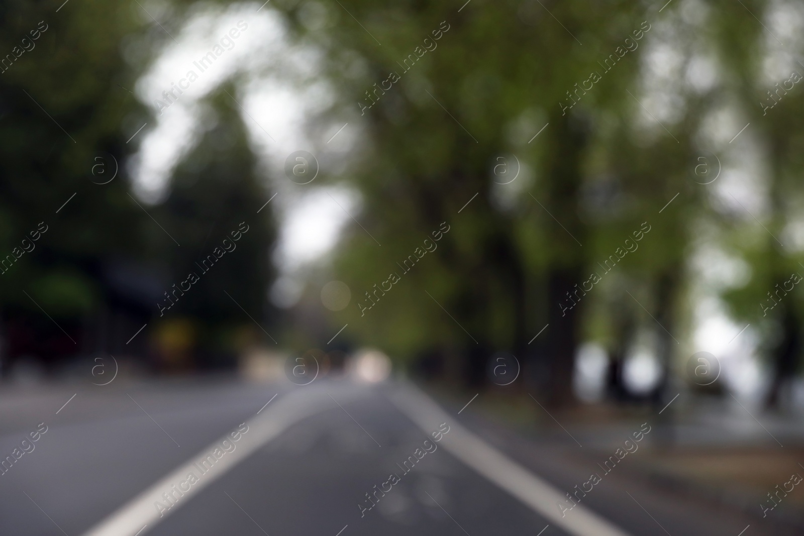 Photo of Blurred view of park on grey day. Bokeh effect