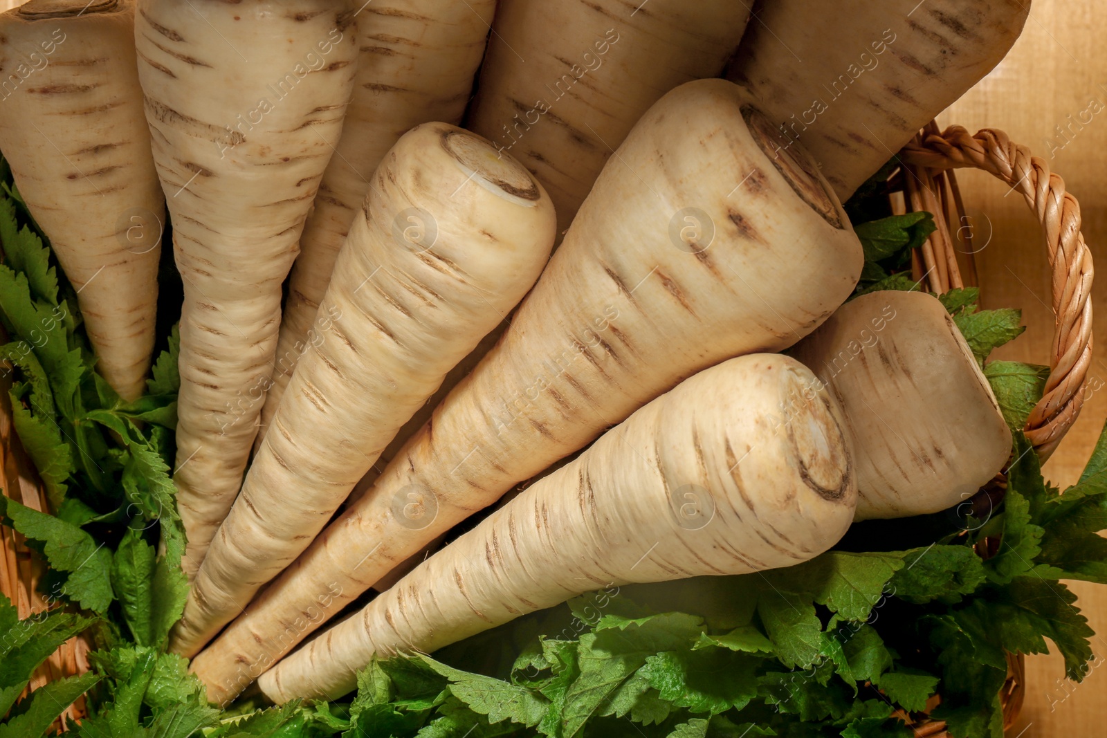 Photo of Wicker basket with delicious fresh ripe parsnips and green leaves on wooden table, top view