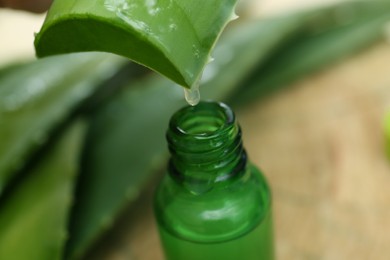 Photo of Aloe vera juice dripping from leaf into bottle on blurred background, closeup