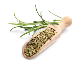 Photo of Scoop with fresh and dry rosemary isolated on white