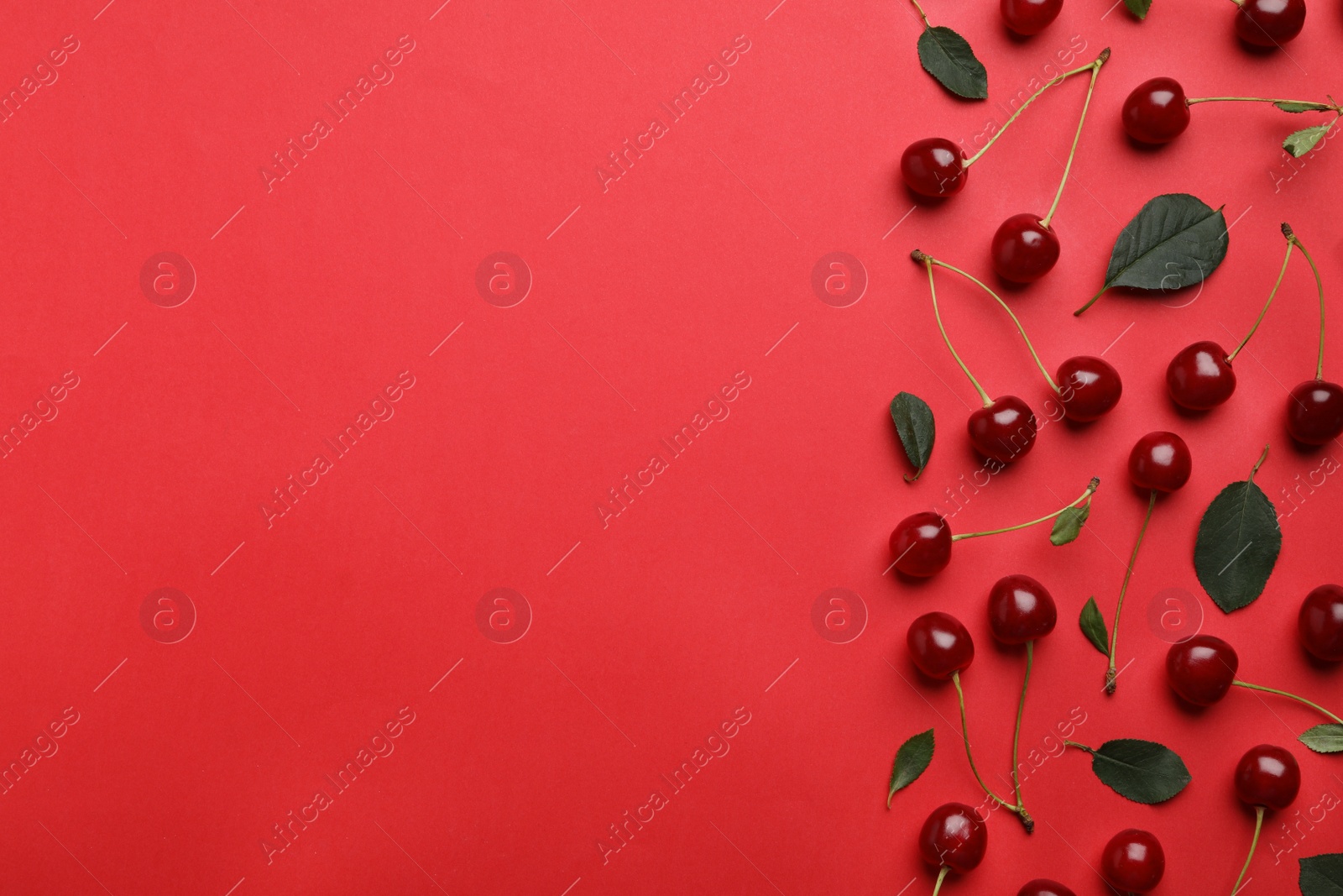 Photo of Tasty ripe cherries with leaves on red background, flat lay. Space for text