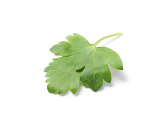 Photo of Fresh green organic parsley on white background