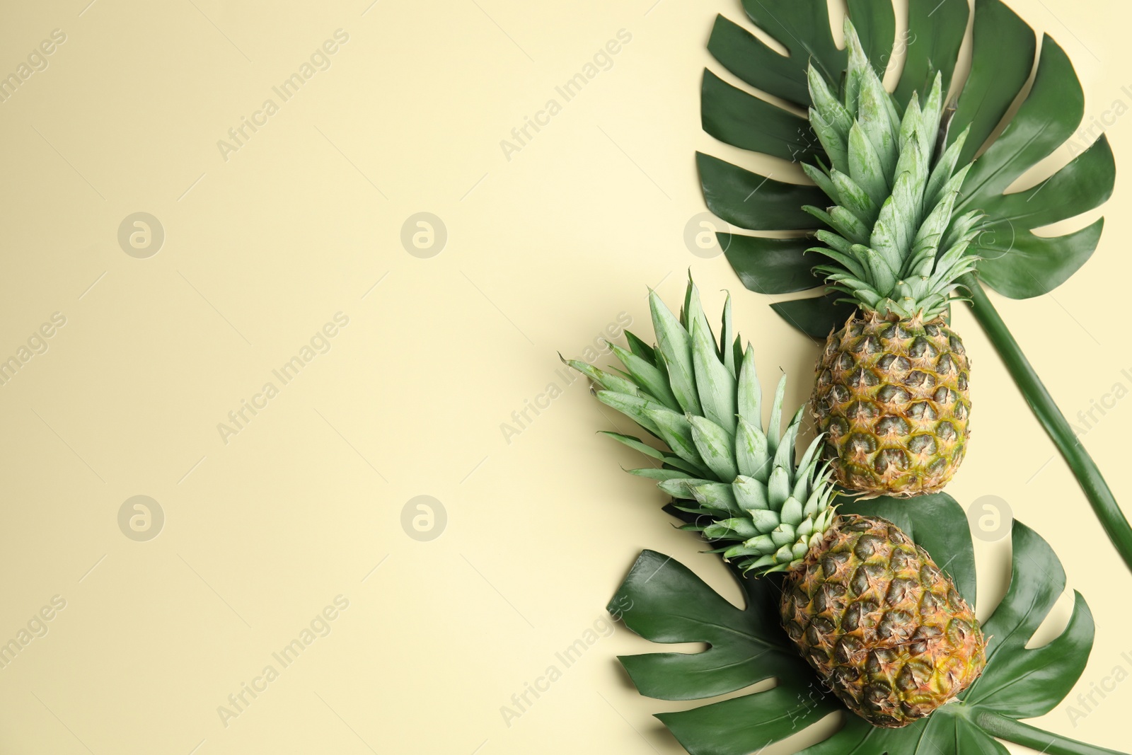 Photo of Fresh ripe juicy pineapples on beige background, flat lay. Space for text