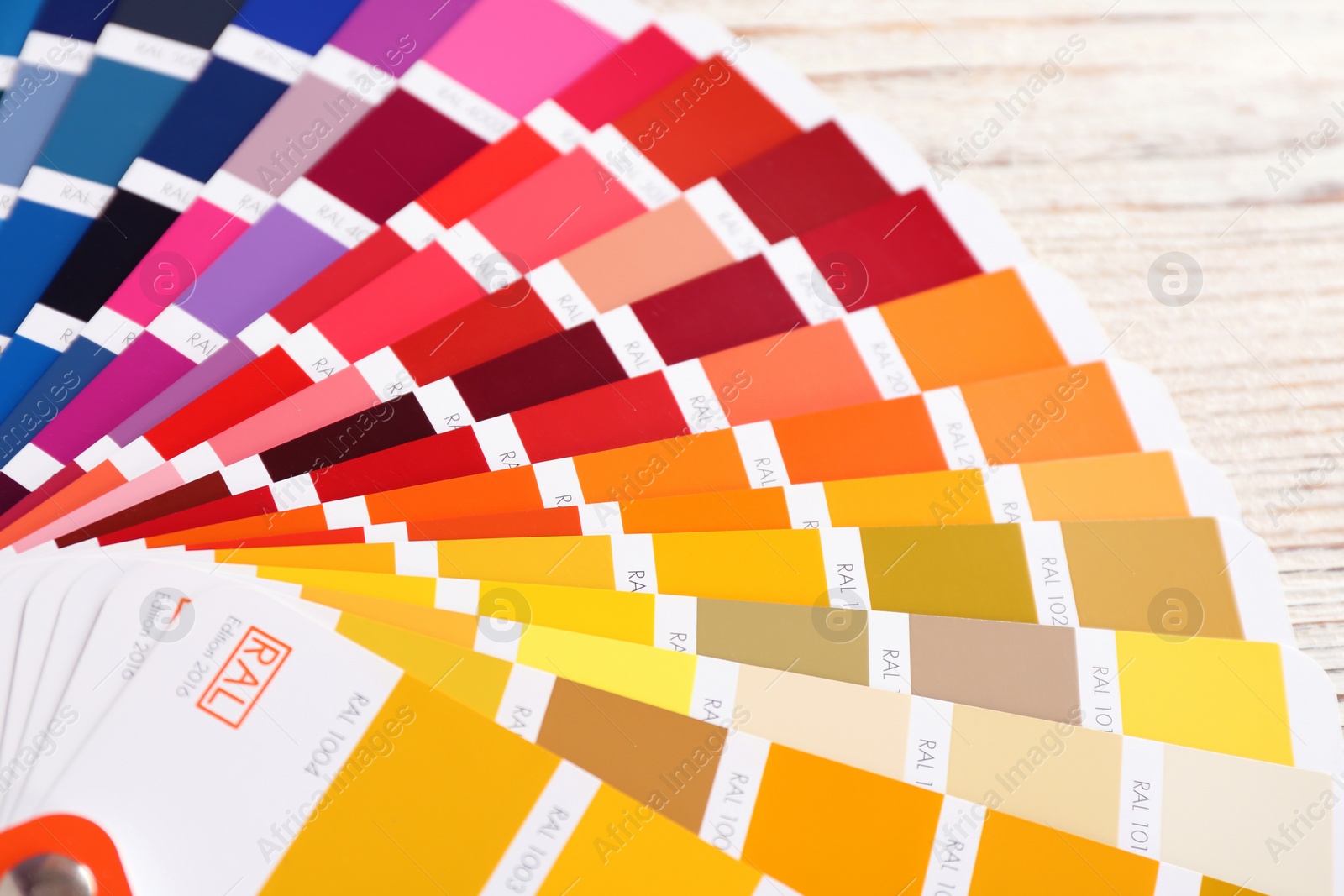 Photo of Color palette samples, closeup