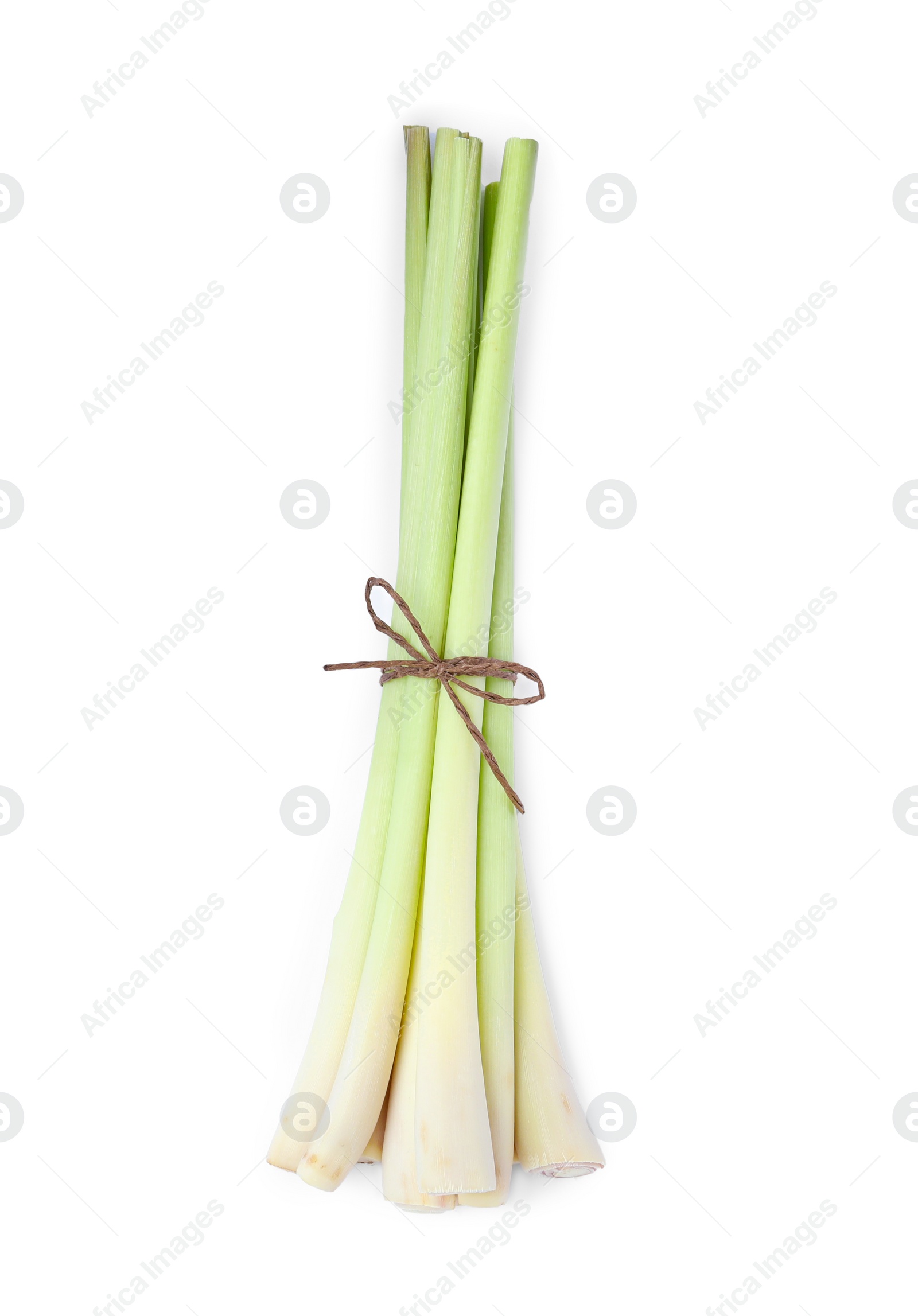 Photo of Bunch of fresh lemongrass on white background, top view