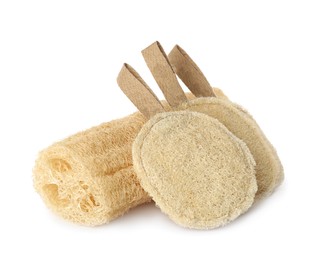 Photo of Different natural loofah sponges isolated on white