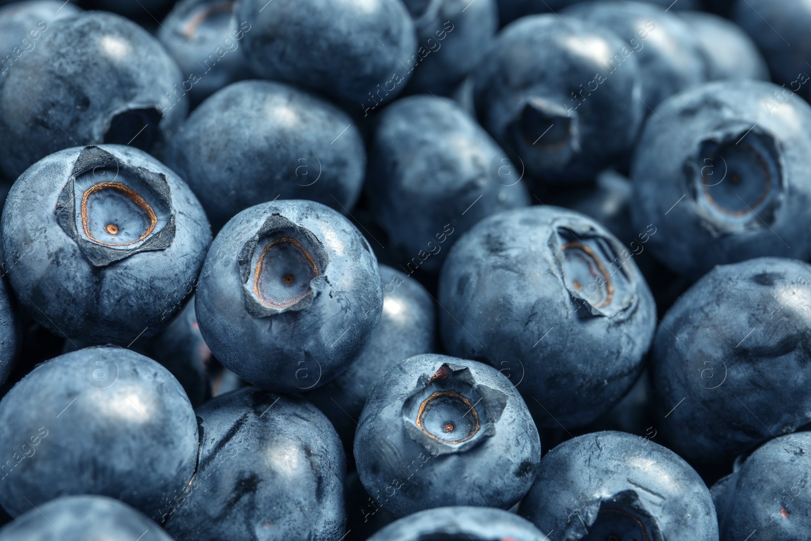 Photo of Tasty fresh blueberries as background, closeup view