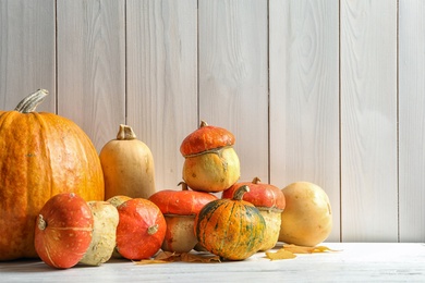 Photo of Different pumpkins with space for text against wooden wall. Autumn holidays