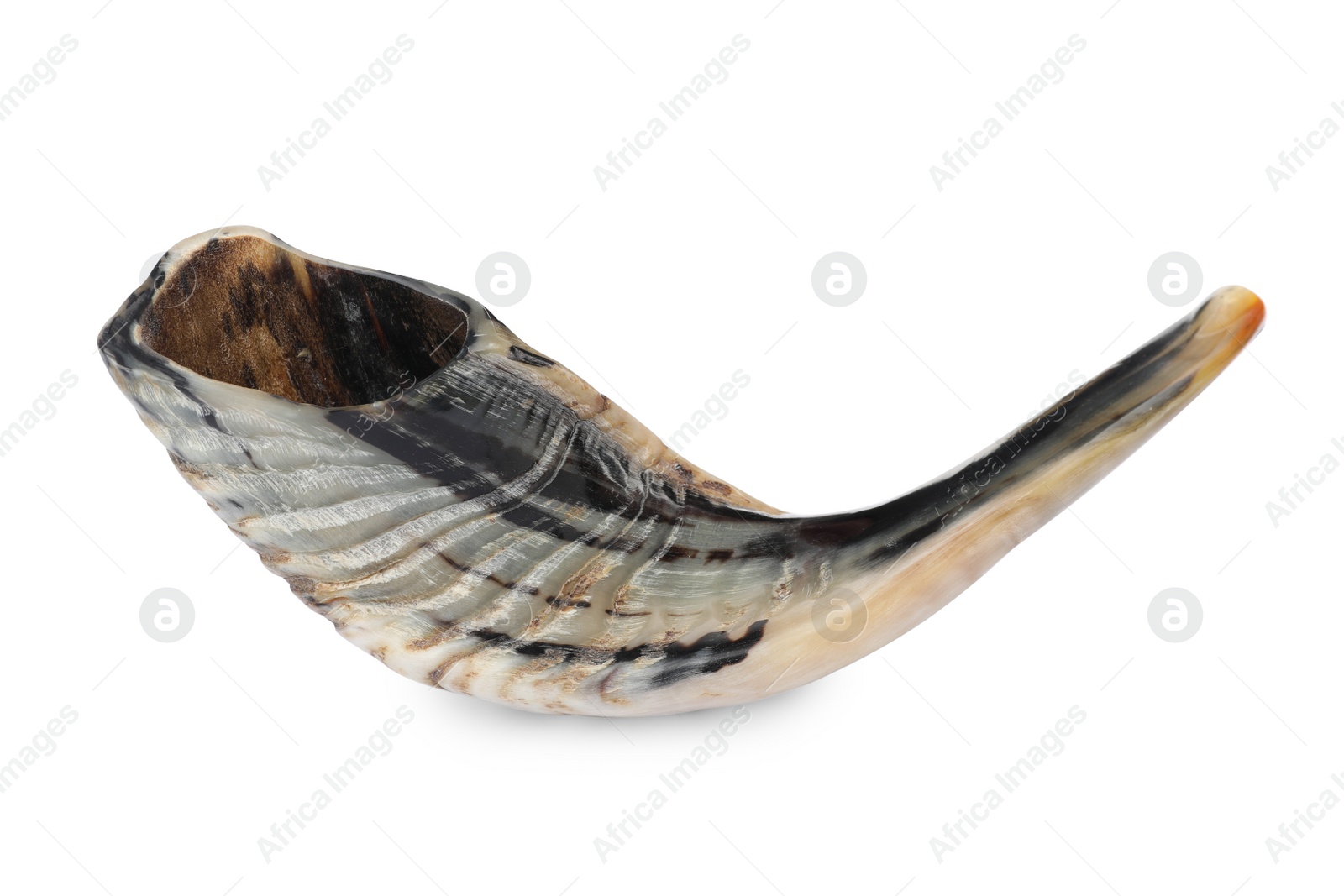 Photo of Shofar isolated on white. Rosh Hashanah holiday symbol