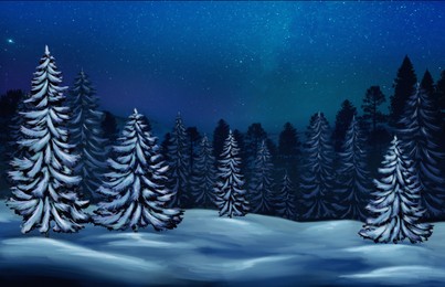Trees covered with snow in forest under starry night sky in winter