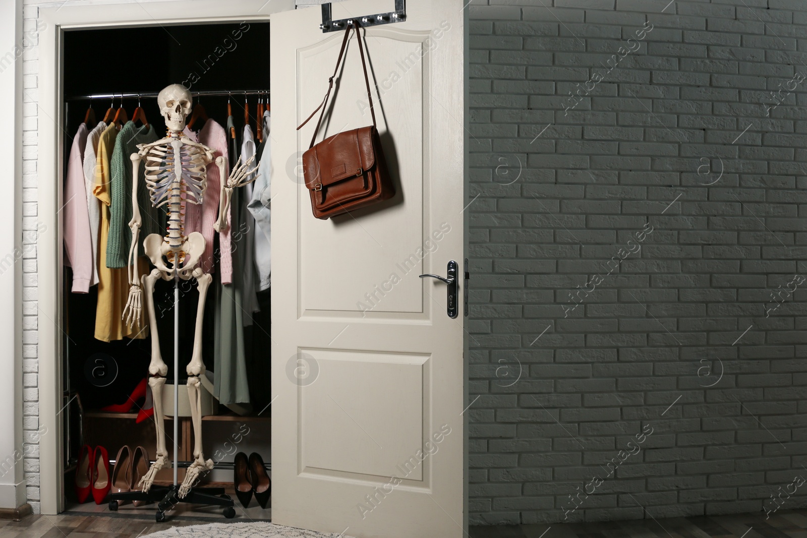 Photo of Artificial human skeleton model in wardrobe room, space for text