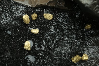 Photo of Shiny gold nuggets on wet stones, top view