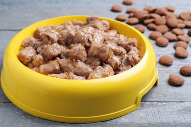 Wet and dry pet food on blue wooden table, closeup