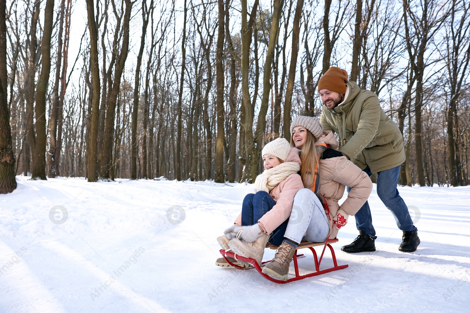 Photo of Happy family having fun with sledge in snowy forest. Space for text