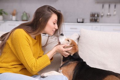 Photo of Beautiful young woman with her cute Beagle dog on couch at home. Lovely pet