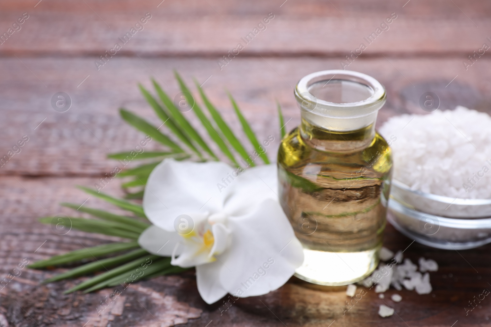 Photo of Bottle of essential oil, sea salt and orchid flower on wooden table, closeup. Space for text