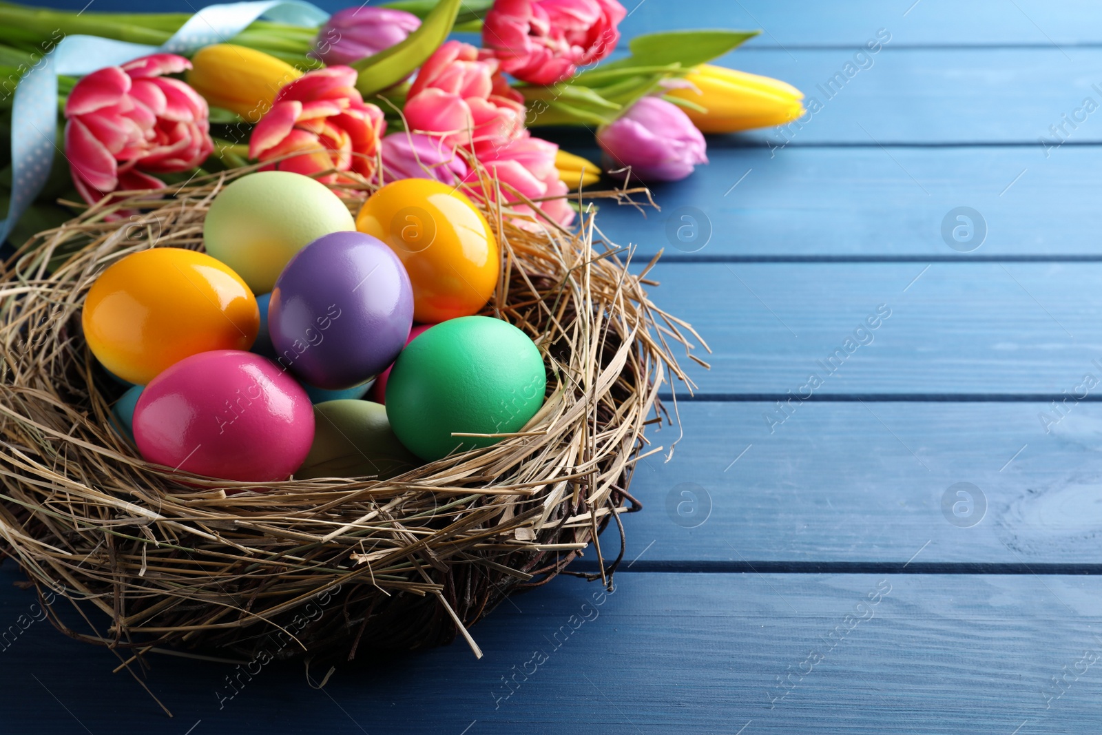 Photo of Bright painted eggs and spring tulips on blue wooden table, closeup view with space for text. Happy Easter