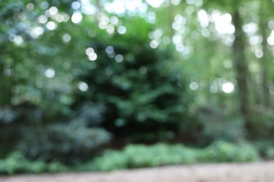 Blurred view of green trees in forest