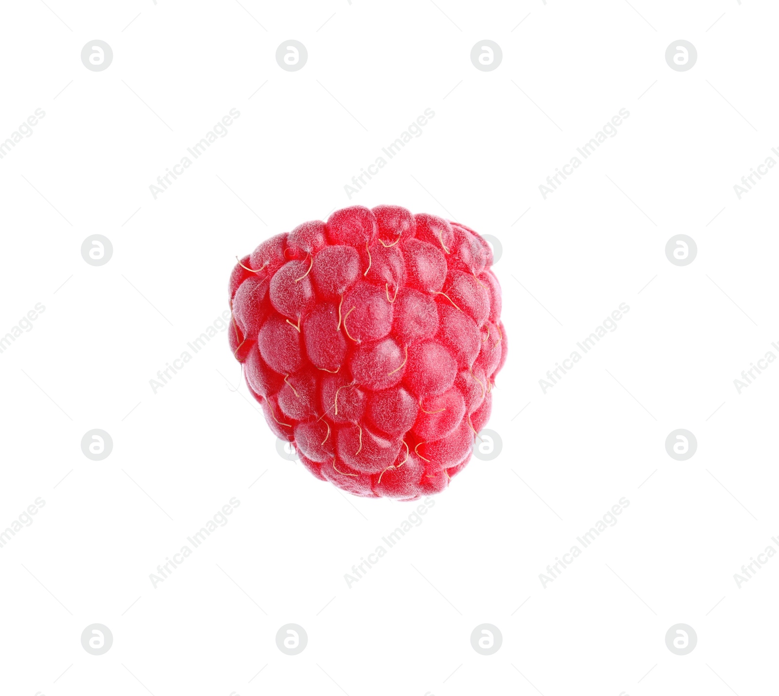 Photo of One fresh ripe raspberry isolated on white