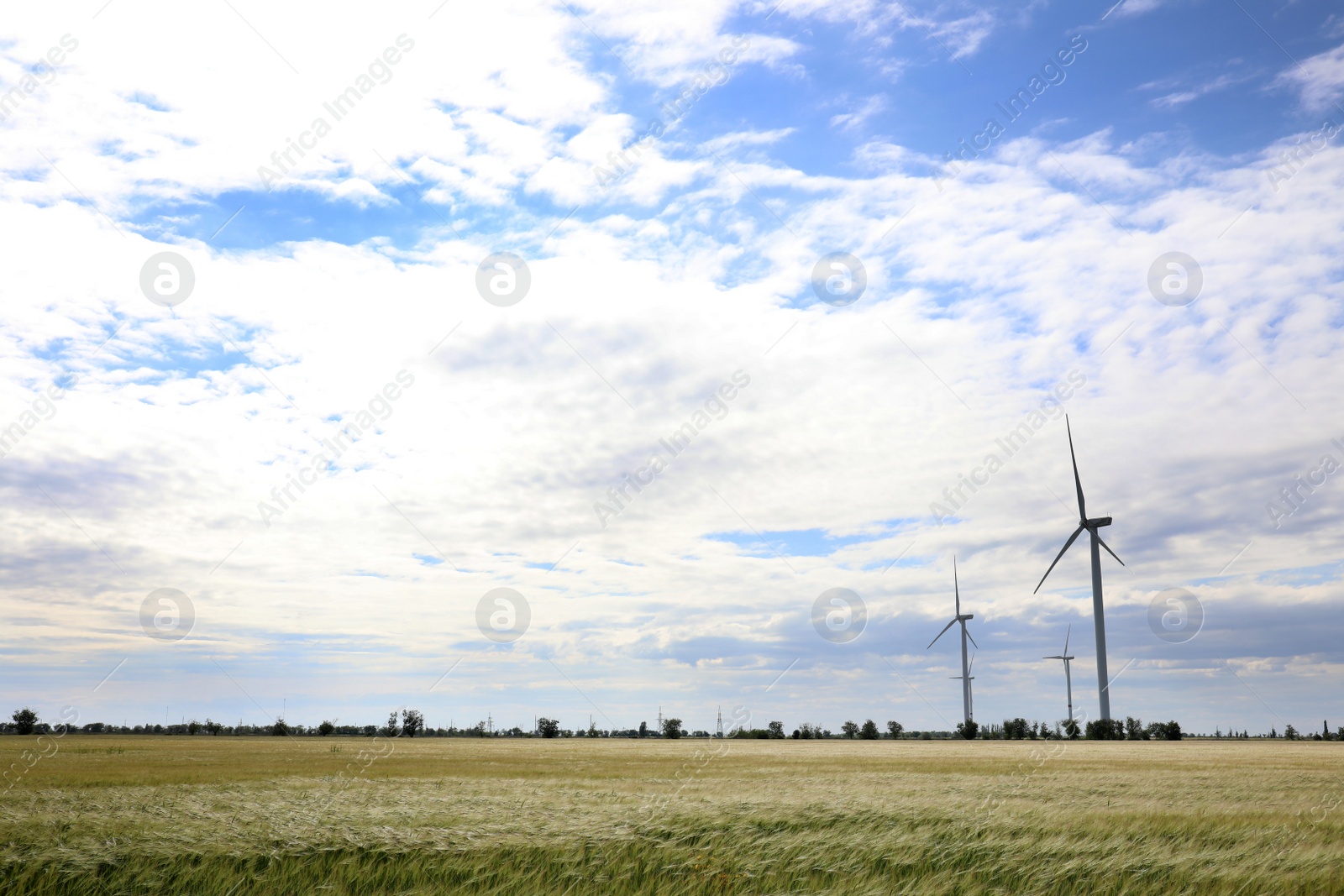 Photo of Beautiful view of field with wind turbines. Alternative energy source