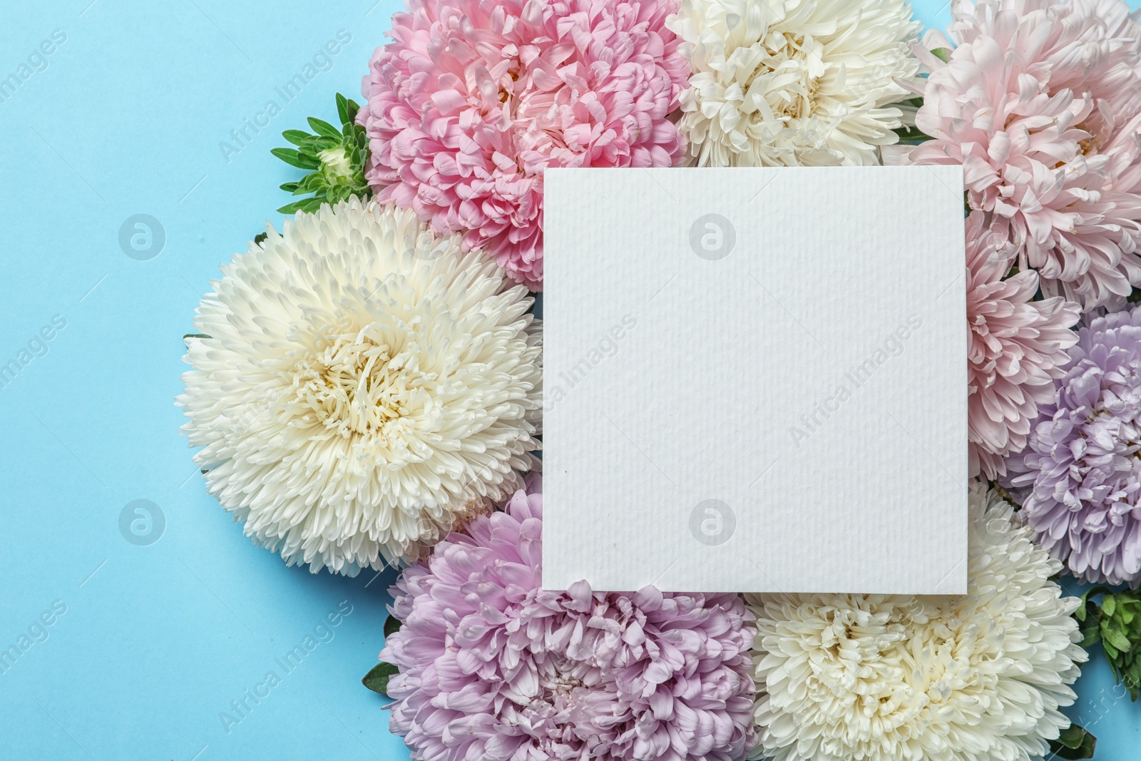 Photo of Beautiful aster flowers with sheet of paper on color background, top view. Space for text