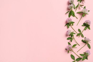 Beautiful clover flowers on pink background, flat lay. Space for text