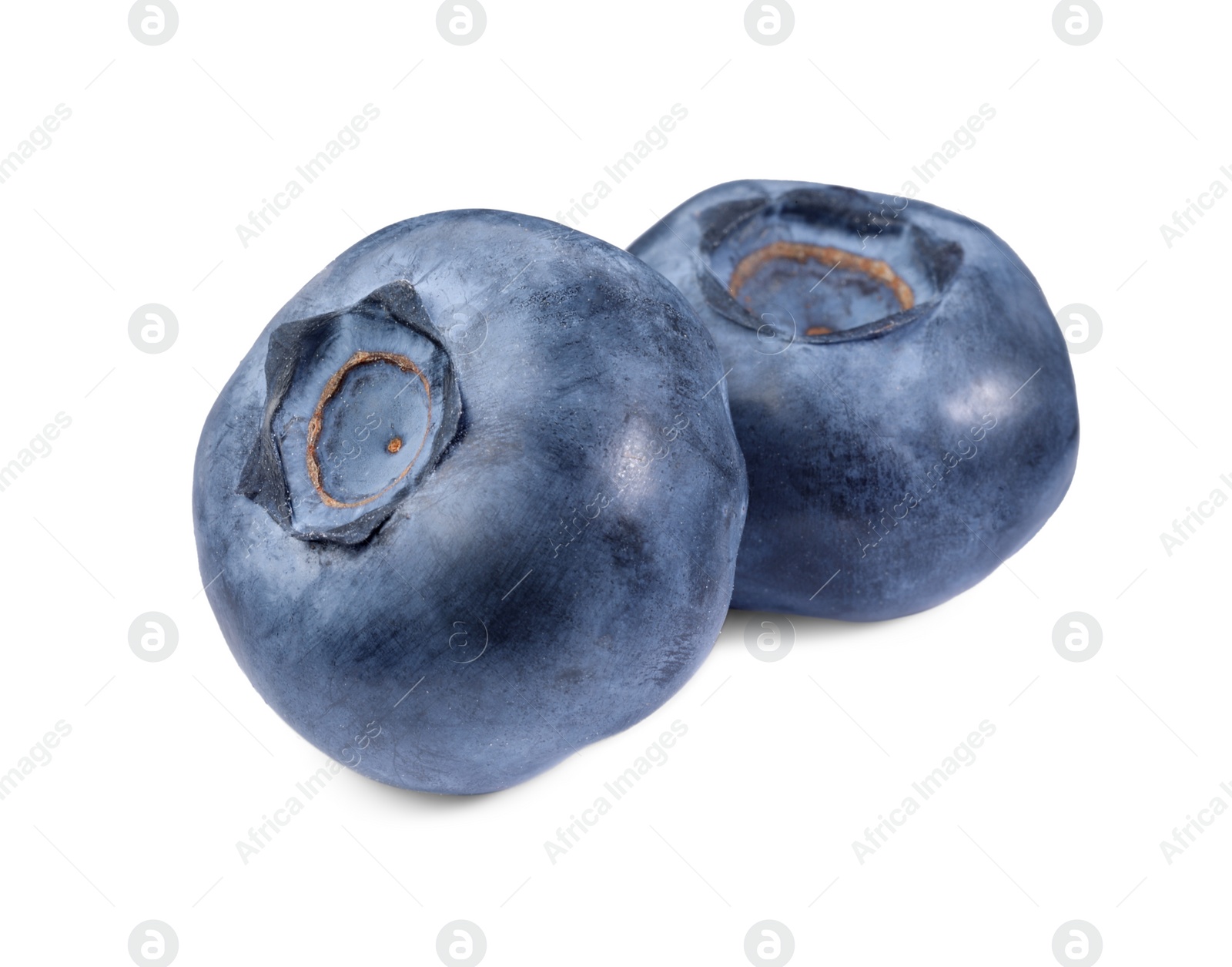 Photo of Two fresh ripe blueberries isolated on white