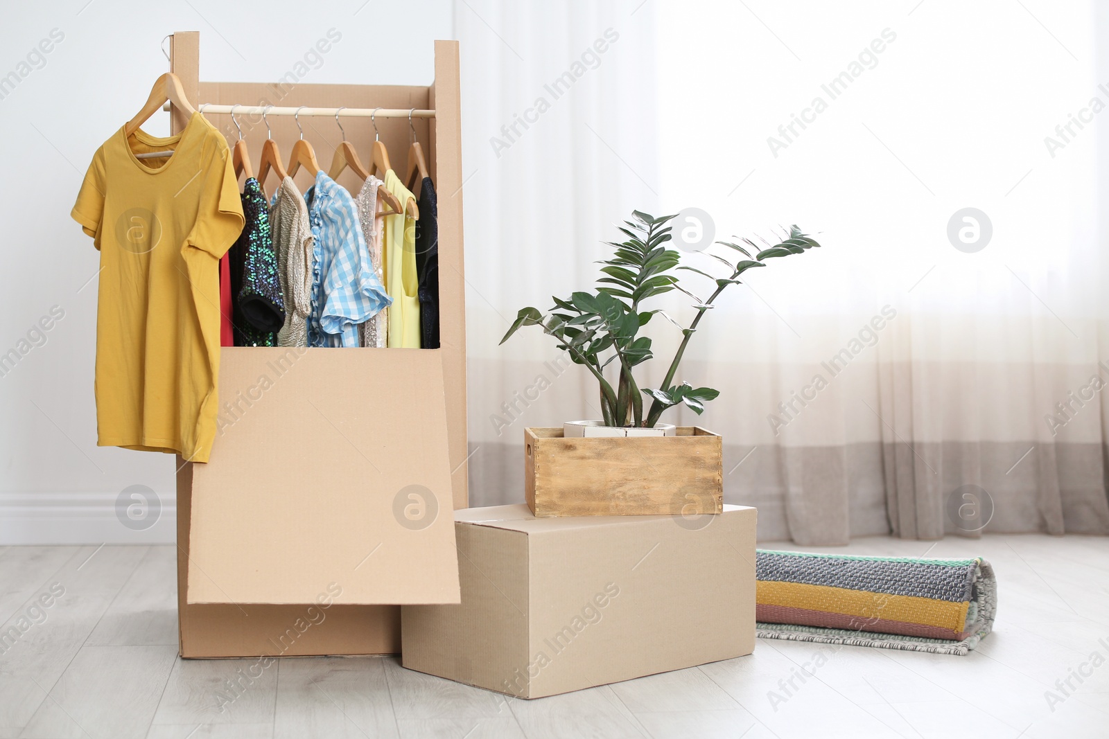 Photo of Cardboard wardrobe box with clothes on hangers, houseplant and carpet indoors. Moving day