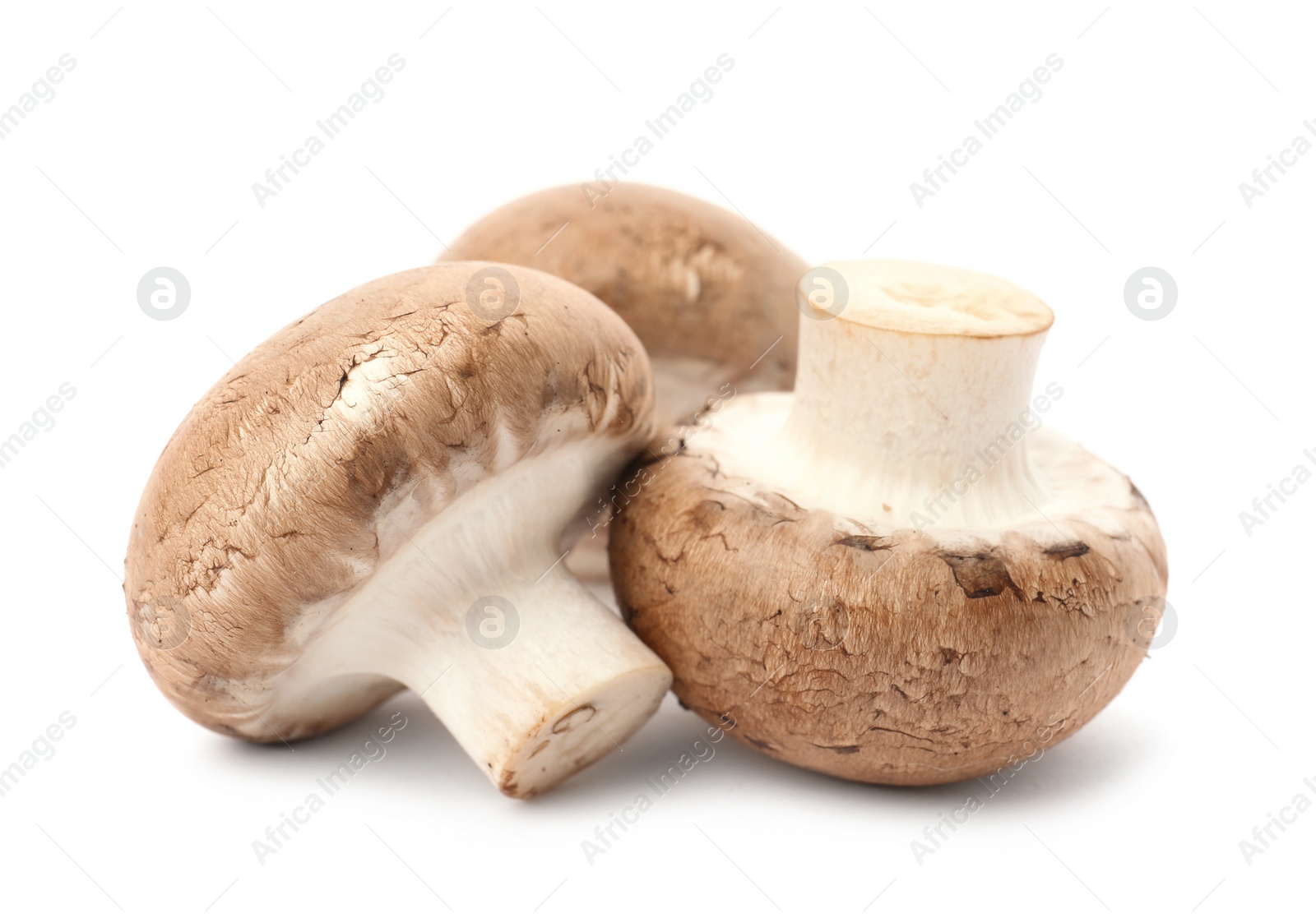 Photo of Fresh raw champignon mushrooms on white background