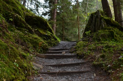 Photo of Beautiful view of stairs among trees and moss on ground in forest