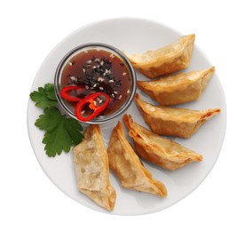 Delicious gyoza (asian dumplings) with soy sauce, pepper, parsley and sesame isolated on white, top view