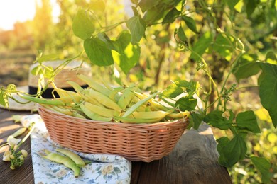 Photo of Wicker basket with fresh green beans on wooden table in garden