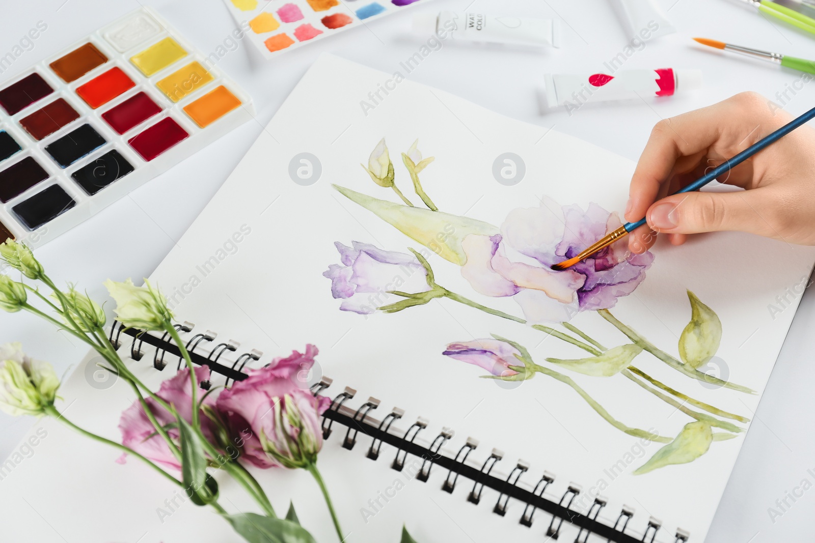 Photo of Woman painting eustomas in sketchbook at white table, closeup