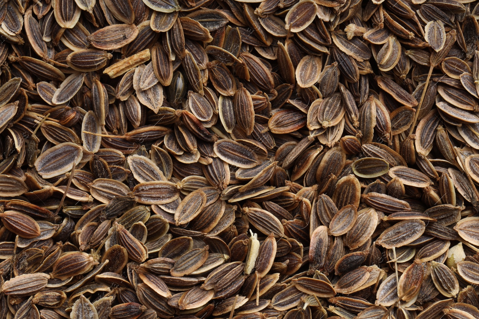 Photo of Many dry dill seeds as background, top view