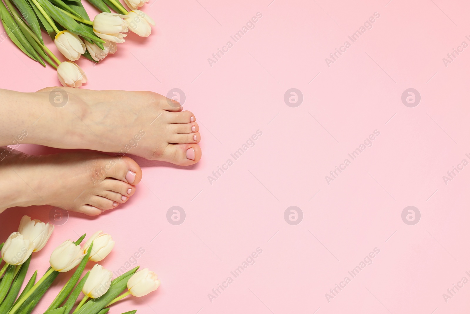 Photo of Closeup of woman with neat toenails after pedicure procedure on pink background, top view. Space for text