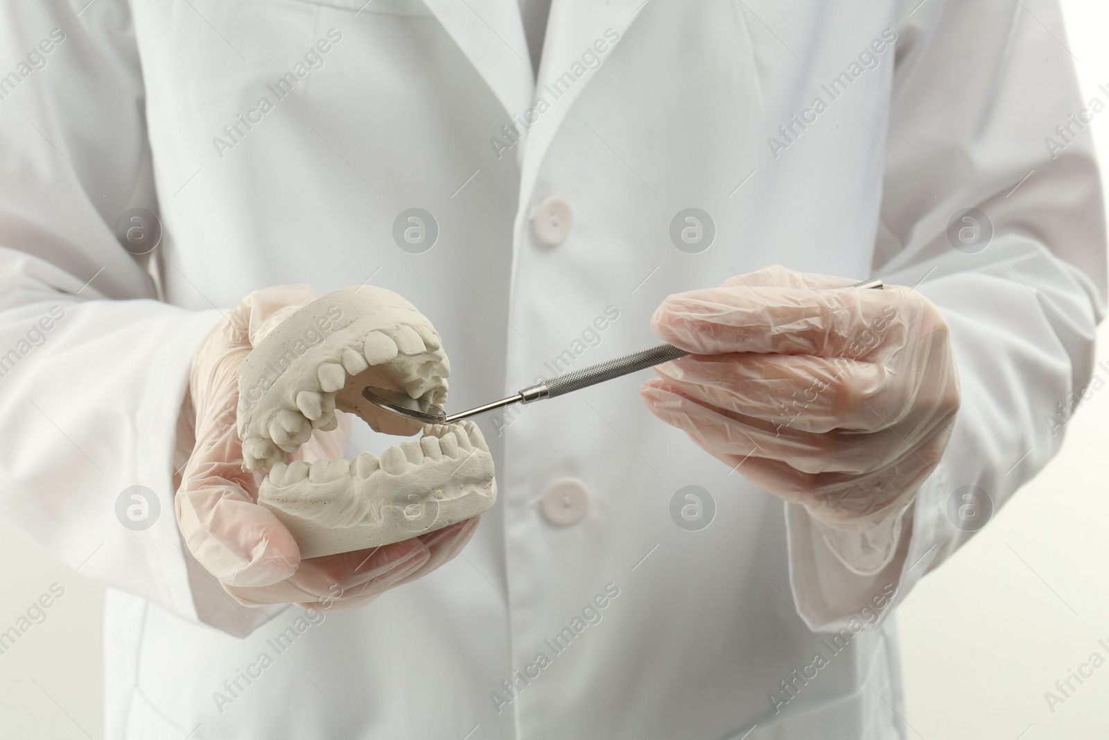 Photo of Doctor holding dental model with jaws and tool on white background, closeup. Cast of teeth