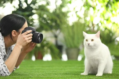 Photo of Professional animal photographer taking picture of beautiful white cat outdoors, closeup