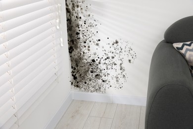 Image of White wall affected with mold in room