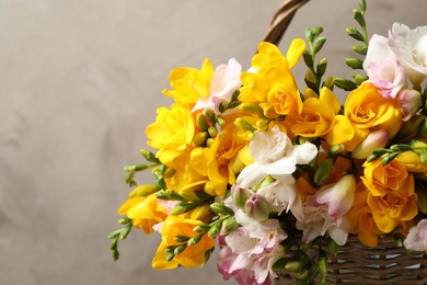 Photo of Beautiful blooming freesias in wicker basket against grey background, closeup