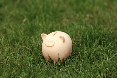 Photo of Cute piggy bank in green grass outdoors