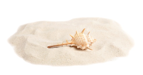 Pile of beach sand with sea shell on white background