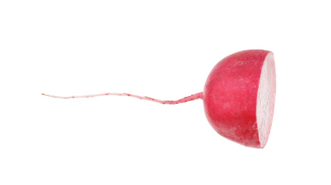 Piece of fresh ripe radish isolated on white