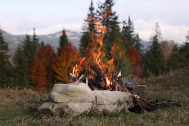 Photo of Beautiful bonfire near forest in mountains. Camping season