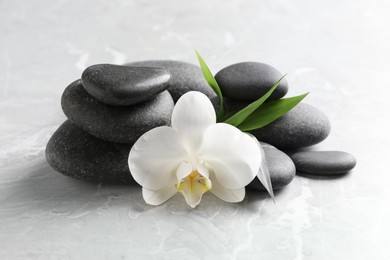 Photo of Spa stones, beautiful orchid flower and bamboo sprout on light grey table