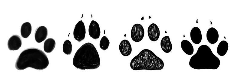 Different dog paw prints on white background, illustration