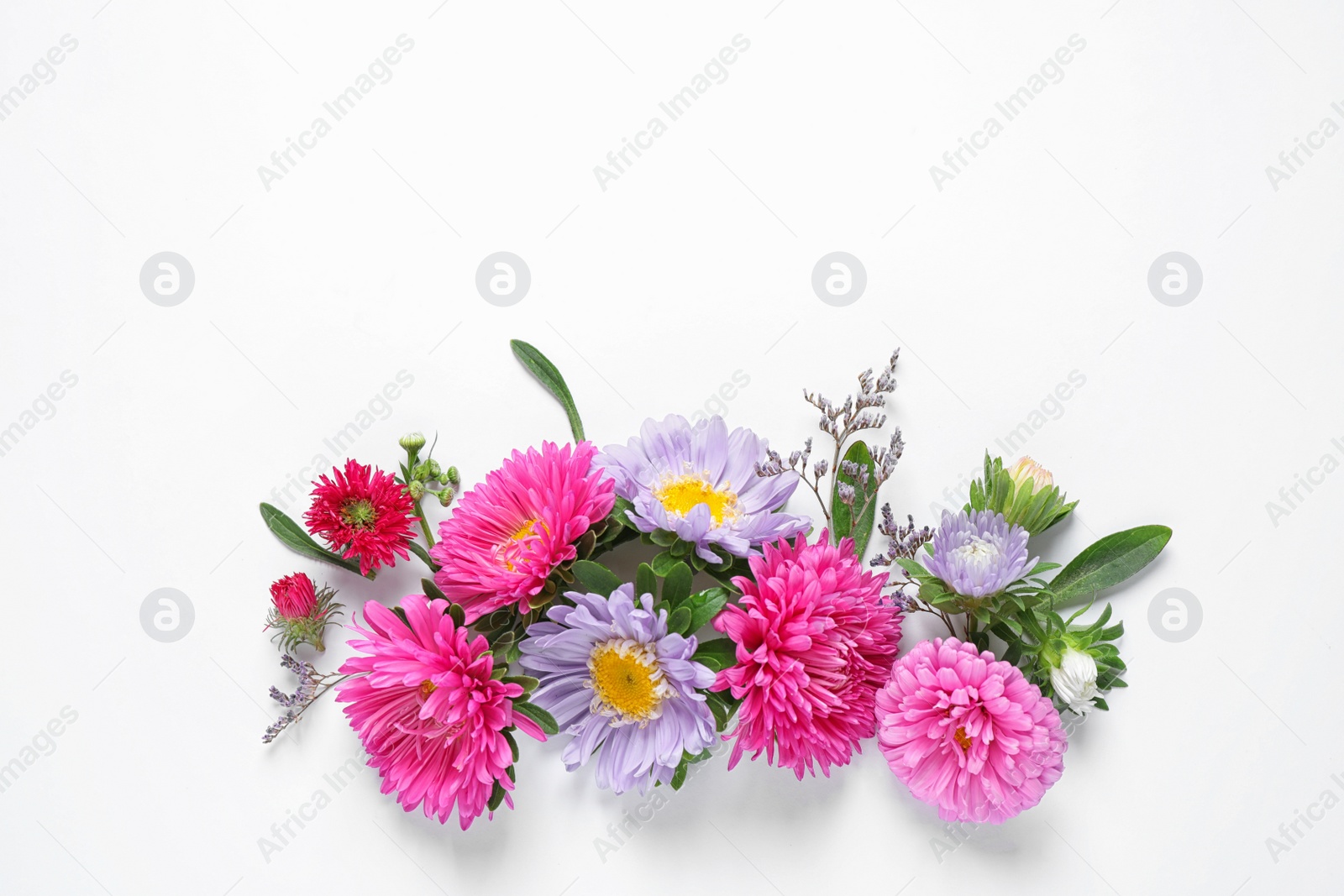 Photo of Composition with beautiful aster flowers on white background, top view